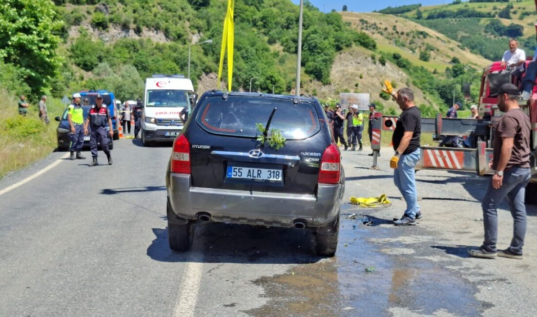 SAMSUN (AA) – Samsun'un Bafra ilçesinde iki gündür kayıp olarak