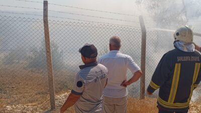 ŞANLIURFA (AA) – Şanlıurfa’nın Bozova ilçesinde ağaçlık alanda çıkan yangın,