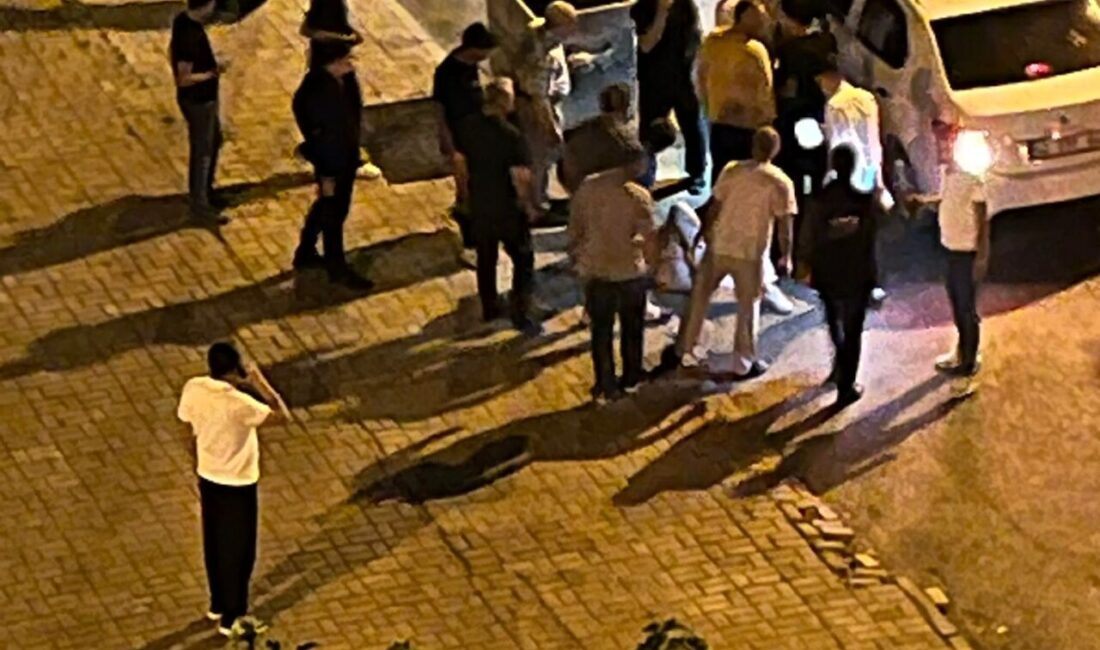 ŞANLIURFA (AA) – Şanlıurfa'nın Karaköprü ilçesinde çıkan silahlı kavgada anne