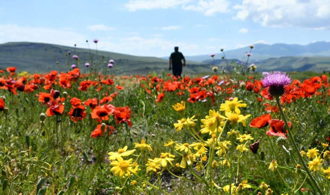 KARS (AA) – Türkiye'nin en yüksek yerleşim yerlerinden, kış mevsiminin