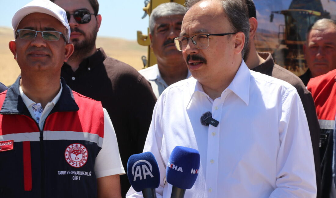 SİİRT (AA) – Siirt'te buğday hasat şenliği gerçekleştirildi. Vali Kemal