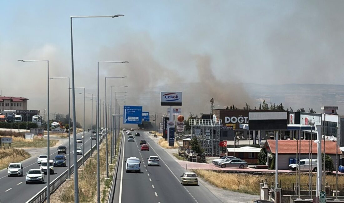 İSTANBUL (AA) – Silivri'de yerleşim yerlerine yakın kırsal alanda çıkan