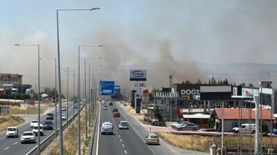 İSTANBUL (AA) – Silivri'de yerleşim yerlerine yakın kırsal alanda çıkan