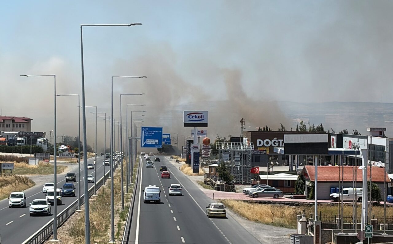 İSTANBUL (AA) – Silivri'de yerleşim yerlerine yakın kırsal alanda çıkan
