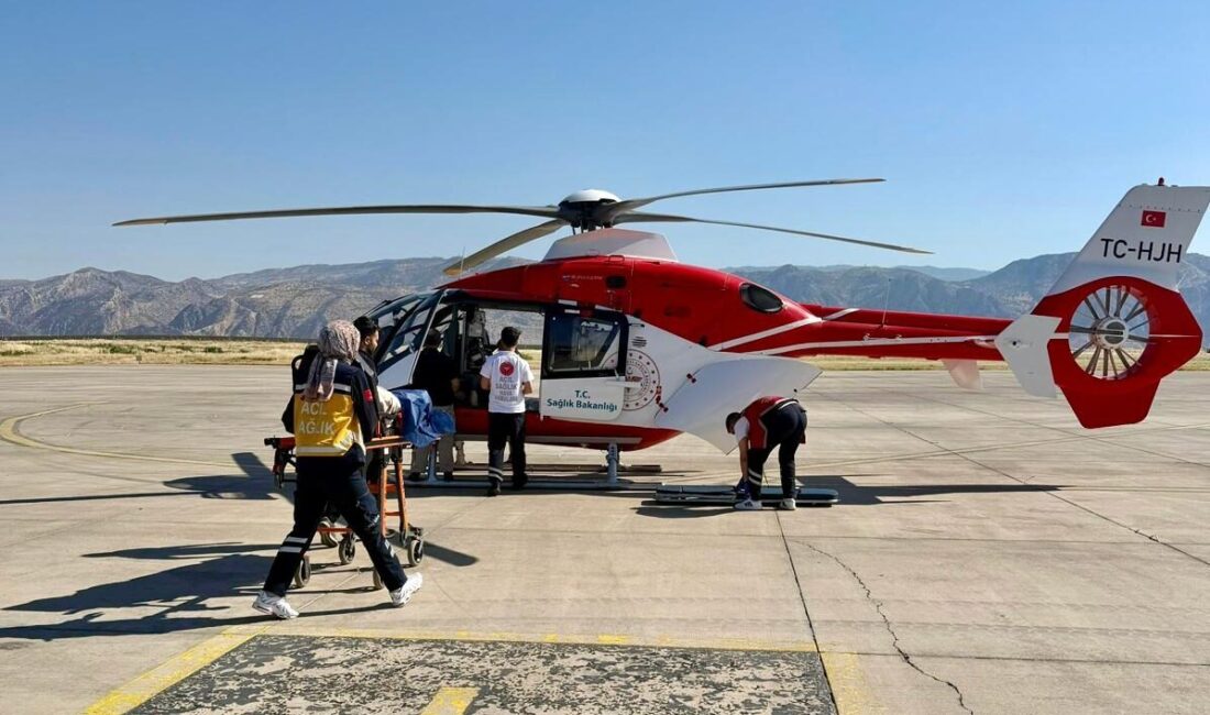 ŞIRNAK (AA) – Şırnak'ın Silopi ilçesinde riskli gebeliği bulunan 32