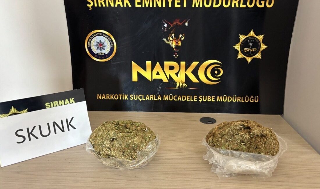 ŞIRNAK (AA) – Şırnak'ta bir araçta 1 kilogram skunk ele
