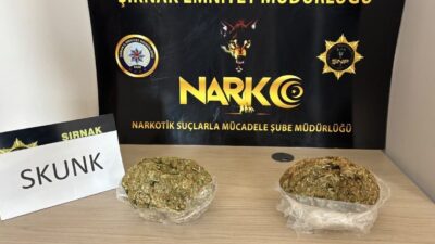 ŞIRNAK (AA) – Şırnak'ta bir araçta 1 kilogram skunk ele