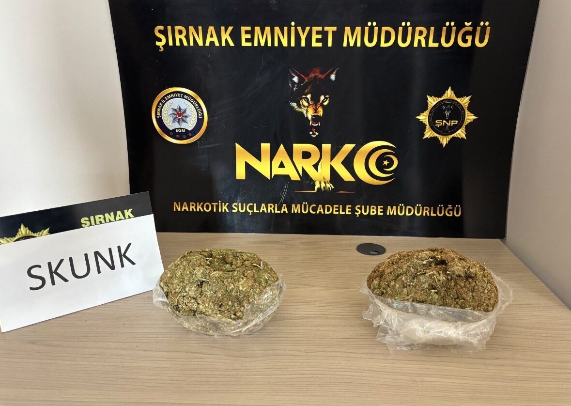 ŞIRNAK (AA) – Şırnak'ta bir araçta 1 kilogram skunk ele