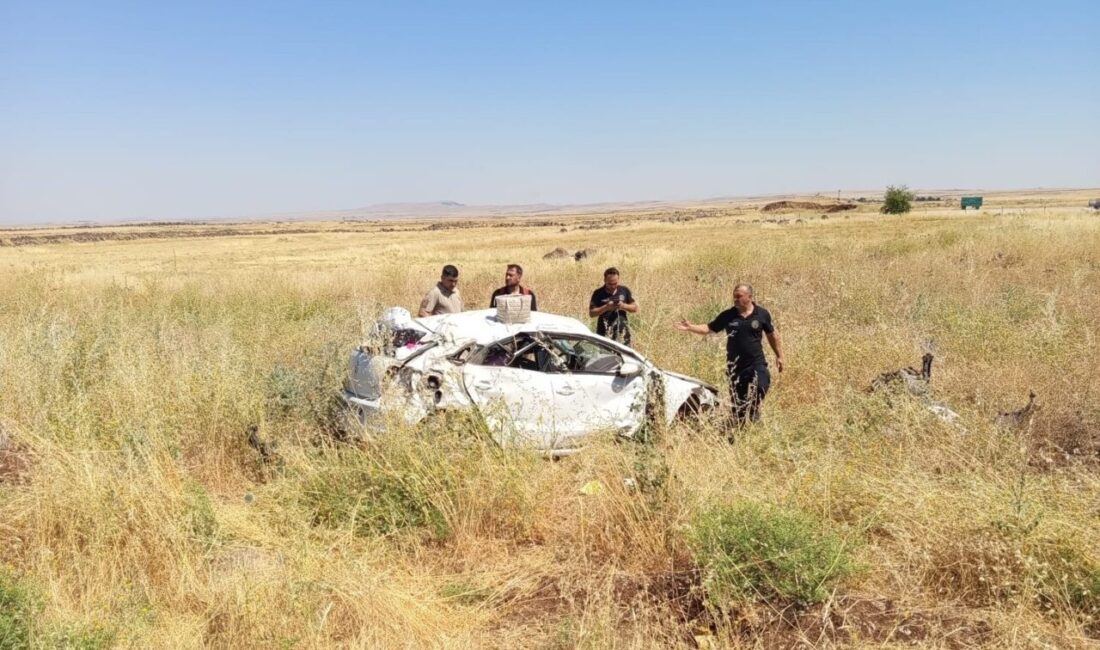 ŞIRNAK (AA) – Şırnak'ın Cizre ilçesinde şarampole devrilen otomobildeki 1'i