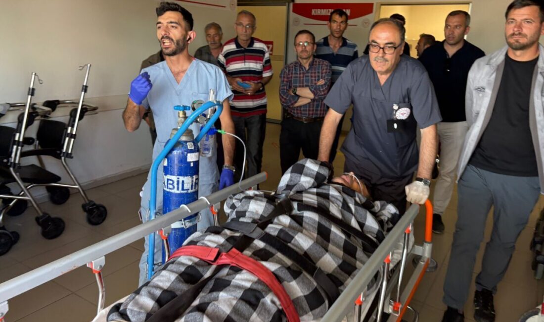 SİVAS (AA) – Sivas'ın Suşehri ilçesinde ayı saldırısı sonucu yaralanan