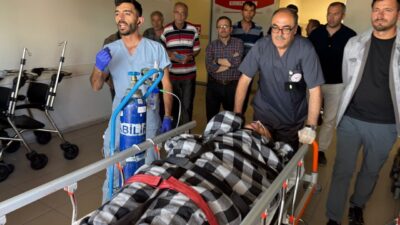 SİVAS (AA) – Sivas'ın Suşehri ilçesinde ayı saldırısı sonucu yaralanan