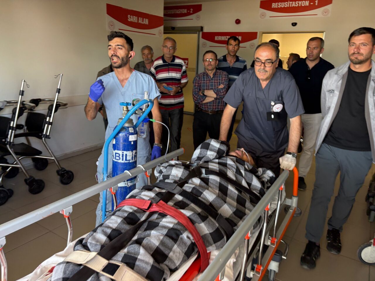 SİVAS (AA) – Sivas'ın Suşehri ilçesinde ayı saldırısı sonucu yaralanan