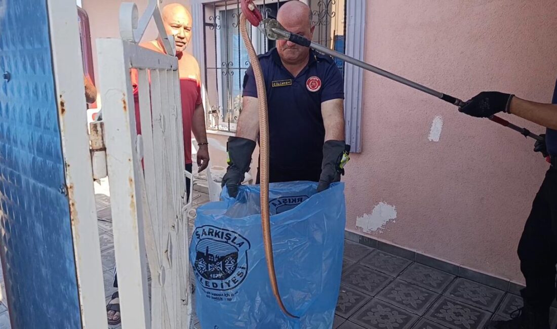 SİVAS (AA) – Sivas'ın Şarkışla ilçesinde bir eve giren yılan,