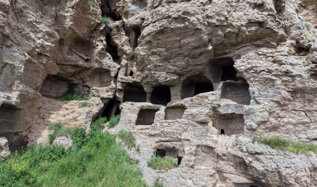 SİVAS (AA) – Sivas'ın Zara ilçesinde yaklaşık 3 bin 200