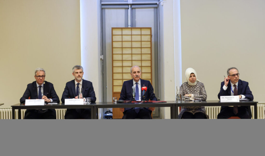 - "Yeni bir küresel ekonomik ve siyasi mimarinin oluşturulmasına yönelik