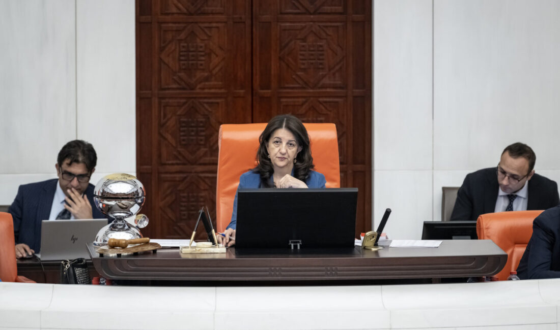 - AK Parti Grup Başkanvekili Leyla Şahin Usta,
- "(AP'nin 2025