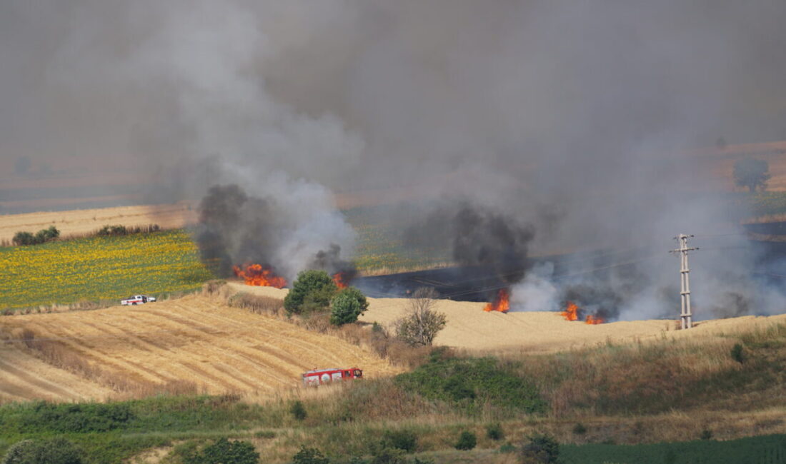 TEKİRDAĞ (AA) – Tekirdağ'ın Süleymanpaşa ilçesinde çıkan yangında 100 dekar