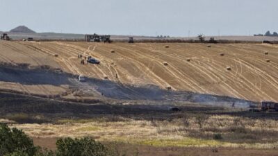 TEKİRDAĞ (AA) – Tekirdağ'ın Çorlu ilçesinde çıkan yangında 80 dekar