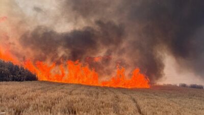 TEKİRDAĞ (AA) – Tekirdağ'da son 10 günde çıkan tarla yangınlarında