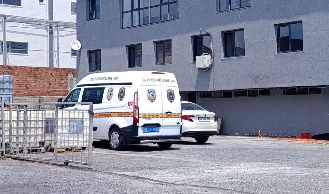 TEKİRDAĞ (AA) – Tekirdağ'ın Kapaklı ilçesinde bir fabrikada çıkan silahlı