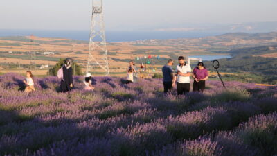 TEKİRDAĞ (AA) – Tekirdağ'da çiçek açan lavantalar, mor renge bürüdükleri
