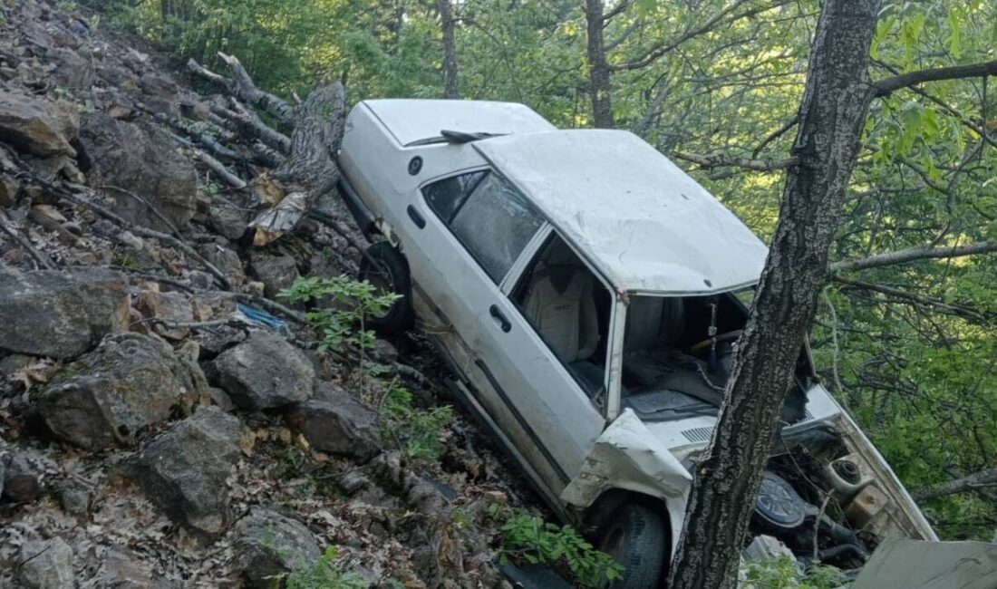 TOKAT (AA) – Tokat'ın Reşadiye ilçesinde devrilen otomobilin sürücüsü hayatını