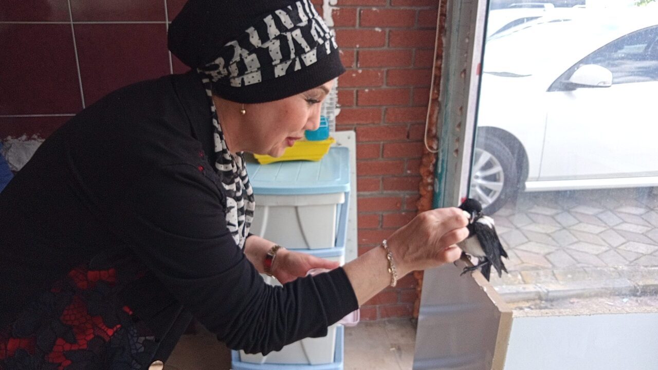 TOKAT (AA) – Tokat'ın Turhal ilçesinde esnaflık yapan bir kadın,