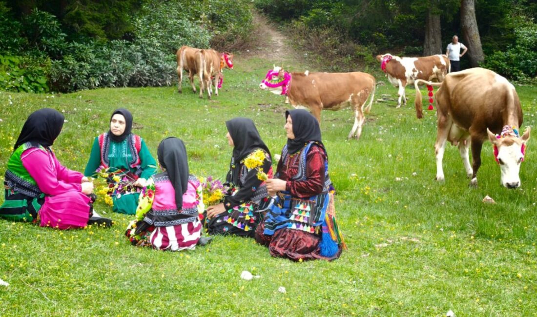TRABZON (AA) – Trabzon'da havaların ısınmasıyla ilkbahar ve yazı yaylalarda