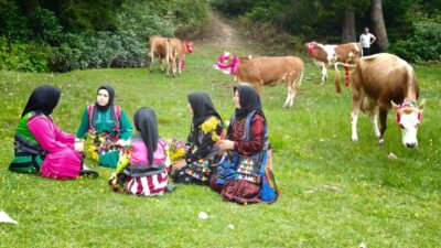 TRABZON (AA) – Trabzon'da havaların ısınmasıyla ilkbahar ve yazı yaylalarda