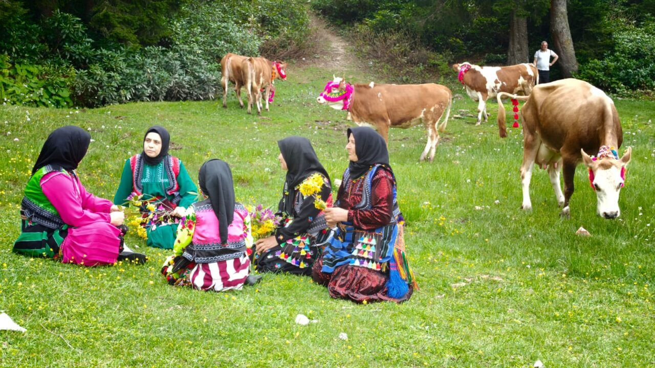 TRABZON (AA) – Trabzon'da havaların ısınmasıyla ilkbahar ve yazı yaylalarda