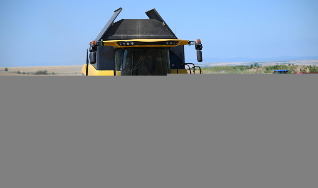 EDİRNE (AA) – Trakya'da çiftçiler buğday hasadı mesaisine başladı. Ekim