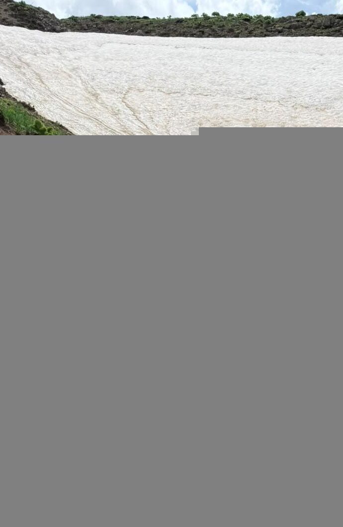 TUNCELİ (AA) – Tunceli'nin Pülümür ilçesinde mantar toplamak için gittiği