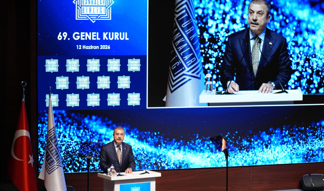 - BDDK Başkanı Şahap Kavcıoğlu:
- "Gelecek dönem bankacılık sektörü için