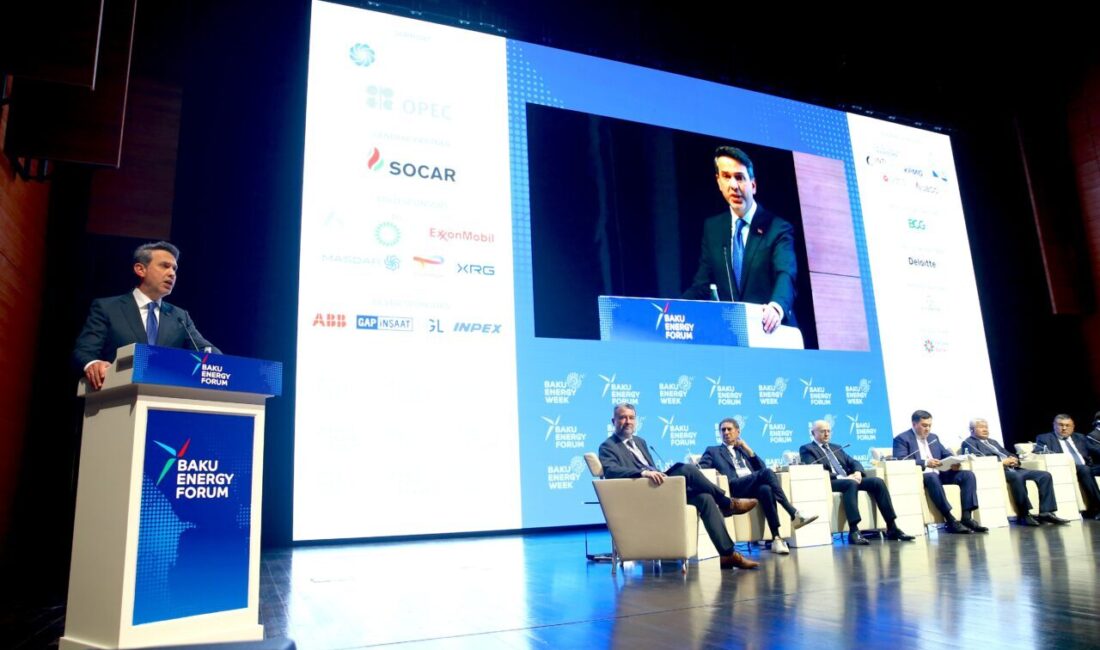 - Enerji ve Tabii Kaynaklar Bakanı Alparslan Bayraktar:
- "Mart ayı