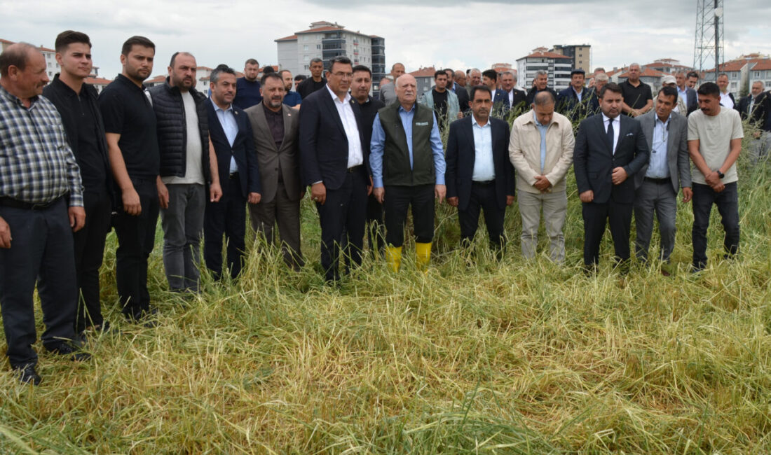 - "Bu afetler şunu gösteriyor ki TARSİM'i büyütmemiz lazım, daha