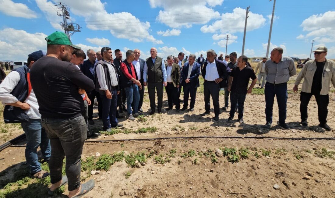 - "Daha evvel don felaketinde yapıldığı gibi TARSİM kapsamı dışında