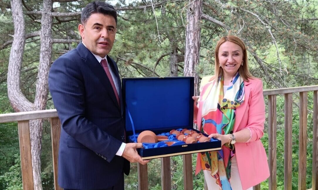 BİLECİK (AA) – Ulaştırma ve Altyapı Bakan Yardımcısı Osman Boyraz,