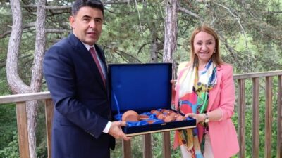 BİLECİK (AA) – Ulaştırma ve Altyapı Bakan Yardımcısı Osman Boyraz,