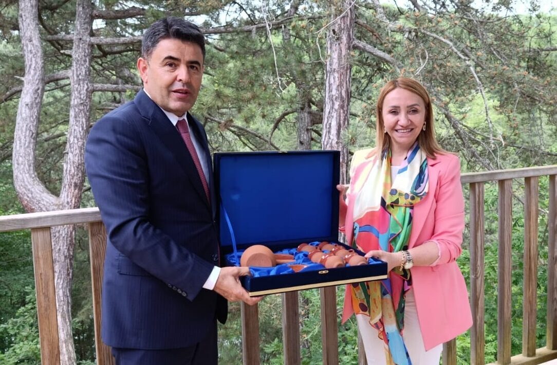 BİLECİK (AA) – Ulaştırma ve Altyapı Bakan Yardımcısı Osman Boyraz,