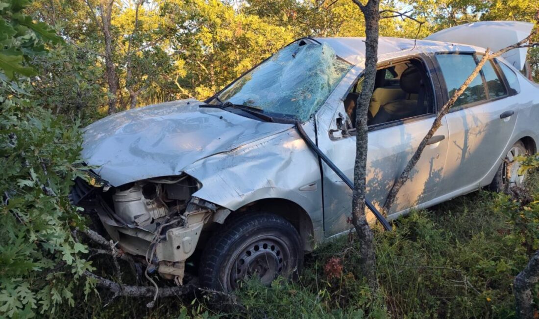 UŞAK (AA) – Uşak'ın Banaz ilçesinde otomobilin yol kenarındaki ağaçlara