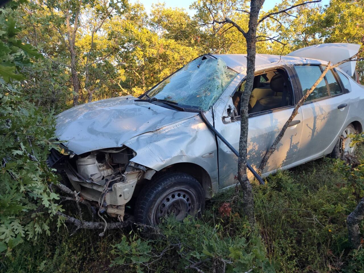 UŞAK (AA) – Uşak'ın Banaz ilçesinde otomobilin yol kenarındaki ağaçlara