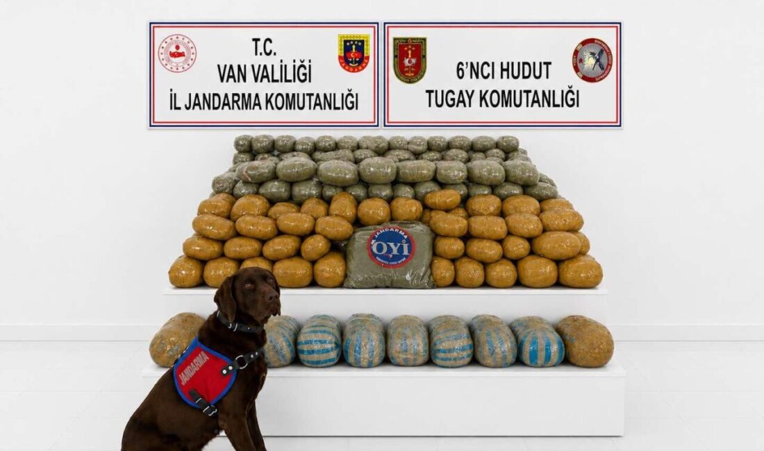 VAN (AA) – Van'da 3 gün önce sınır hattında yaklaşık
