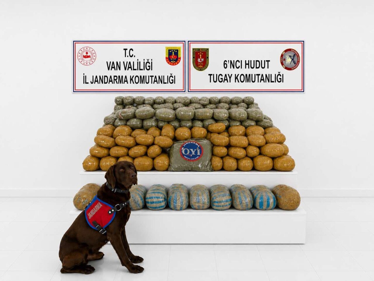 VAN (AA) – Van'da 3 gün önce sınır hattında yaklaşık