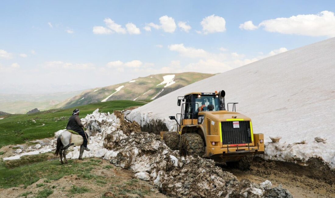 VAN (AA) – Van'ın Gürpınar ilçesindeki Norduz bölgesinde, kış boyunca