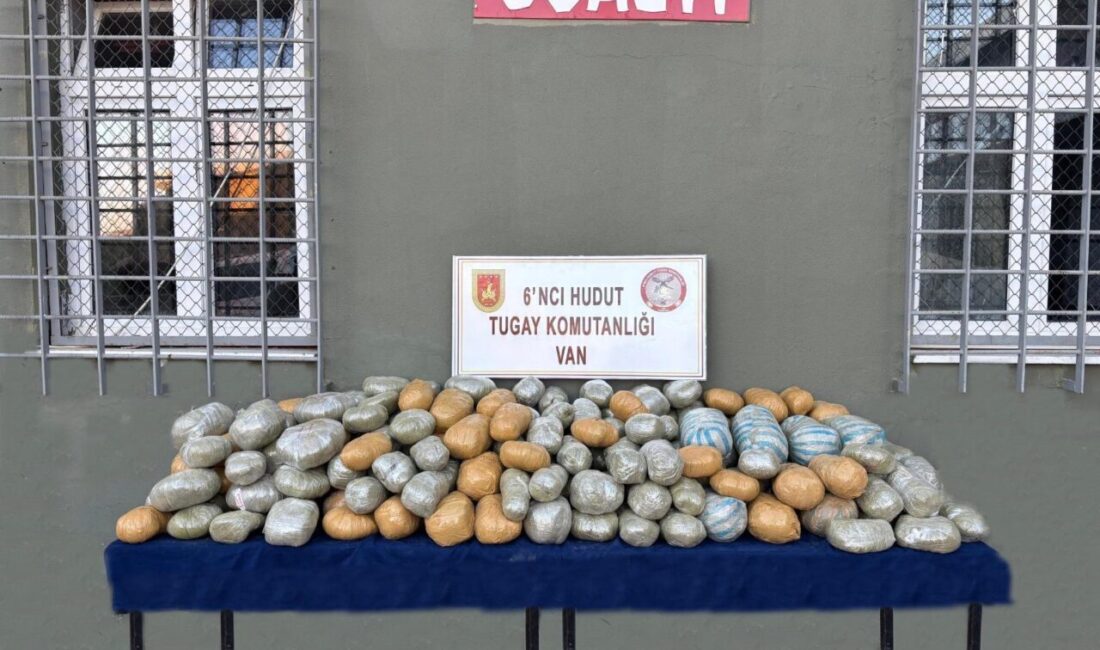 ANKARA (AA) – Milli Savunma Bakanlığı, Van'da sınır hattında yaklaşık