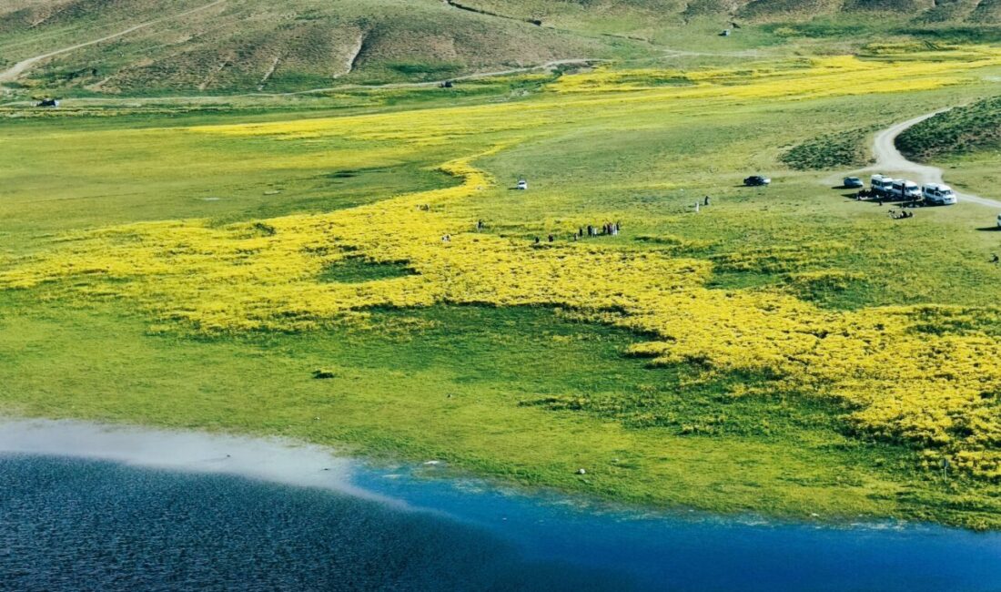VAN (AA) – Van'ın Gürpınar ilçesinde Erek Dağı eteklerinde bulunan