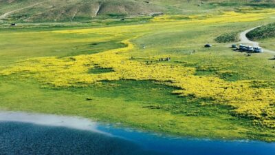 VAN (AA) – Van'ın Gürpınar ilçesinde Erek Dağı eteklerinde bulunan