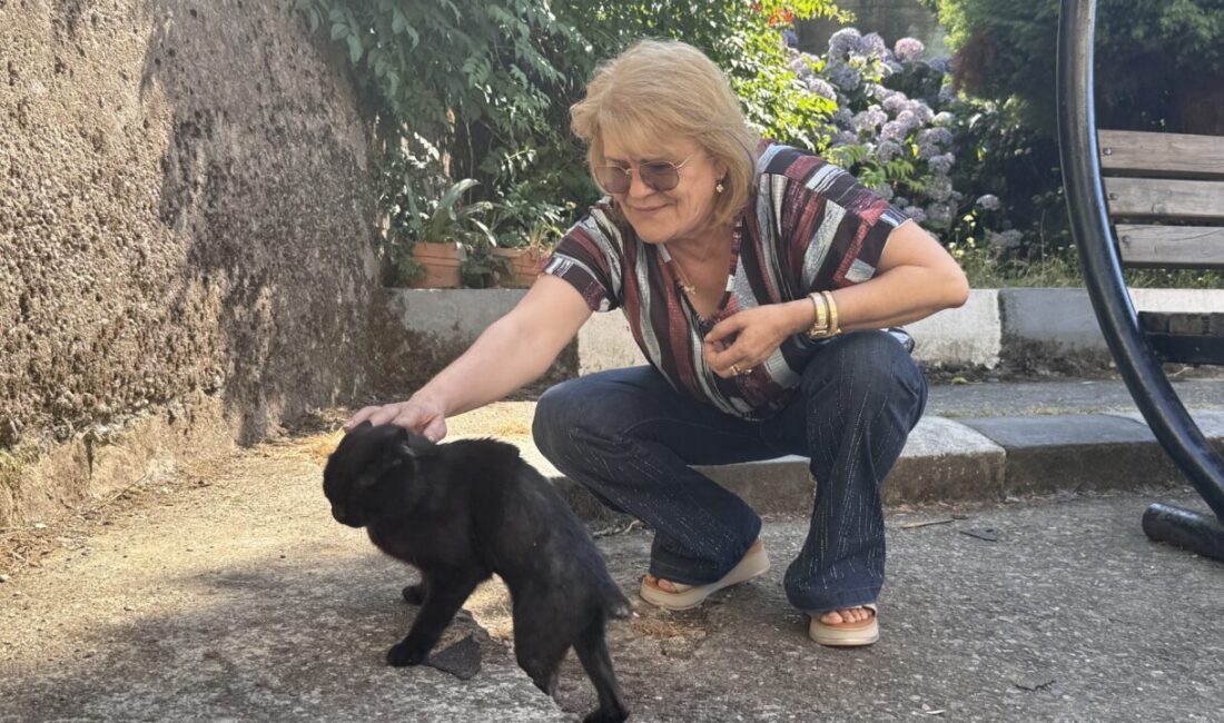 ZONGULDAK (AA) – Zonguldak'ta vücudunda kırıklar tespit edilen sahipsiz kedi,
