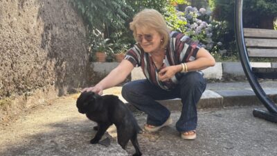ZONGULDAK (AA) – Zonguldak'ta vücudunda kırıklar tespit edilen sahipsiz kedi,