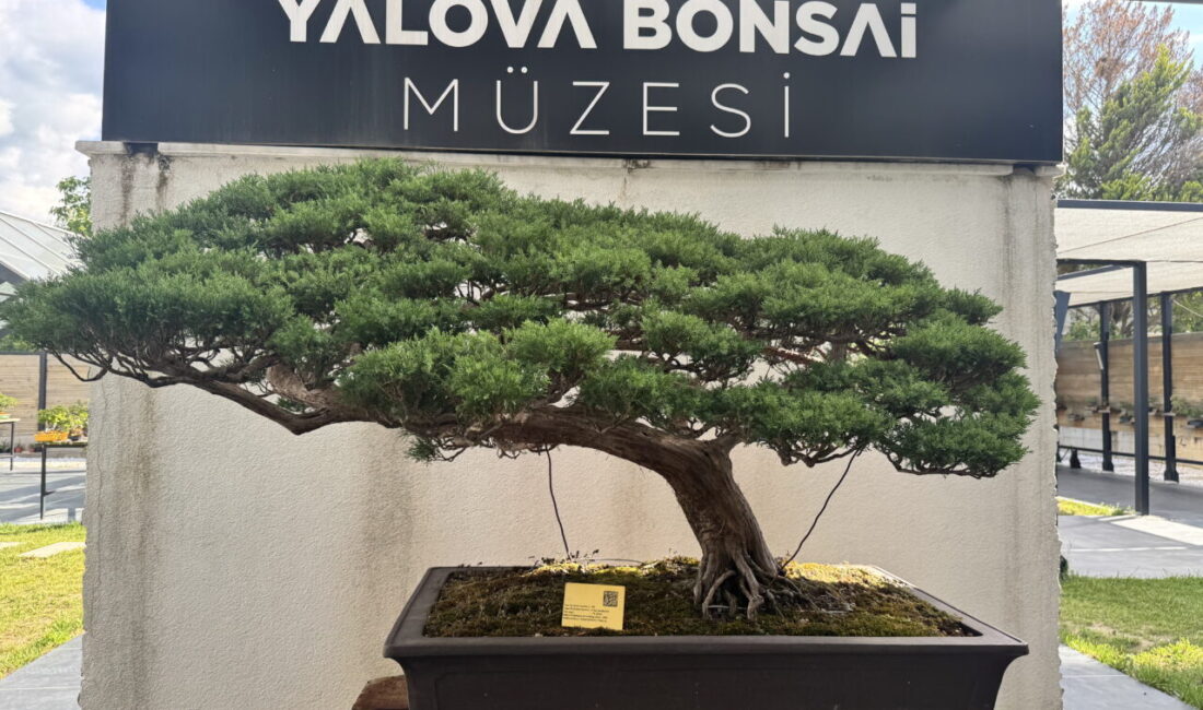 YALOVA (AA) – Yalova Valisi Ahmet Hamdi Usta, Türkiye'nin ilk,